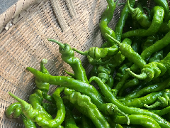 黄冈麻城：李钊村的冬日“椒”响曲