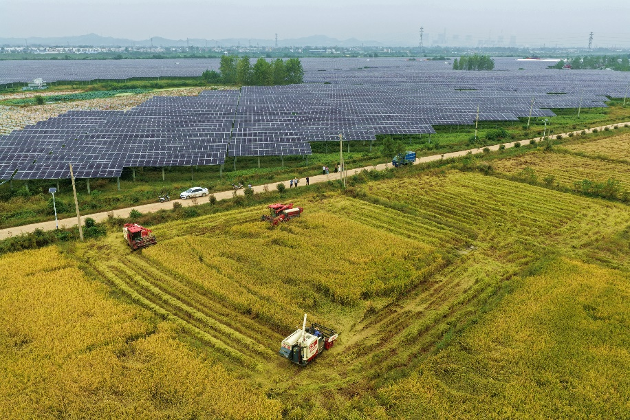 黄冈麻城：告别“小田碎地”，土地也要“精运营”！